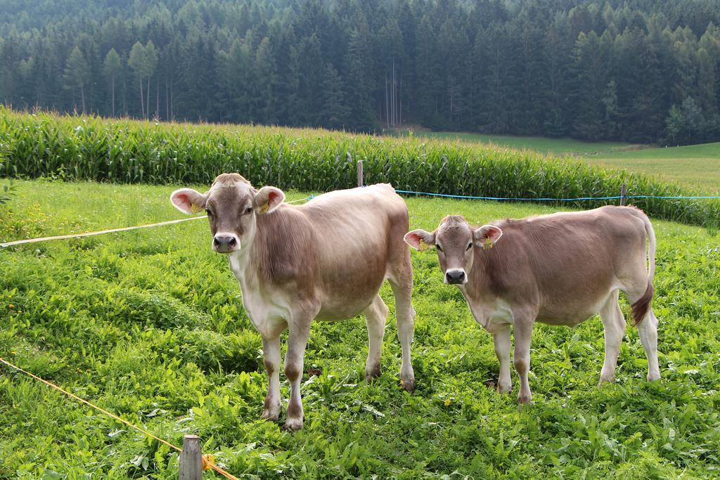 Spisserhof Chiusa Kültér fotó