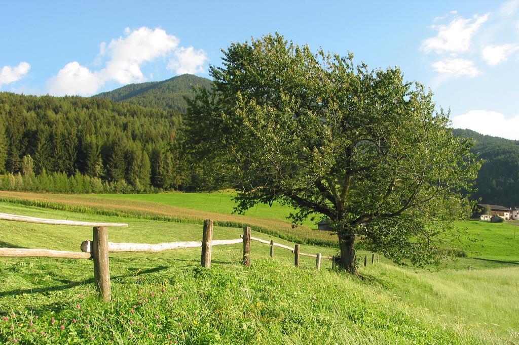 Spisserhof Chiusa Kültér fotó